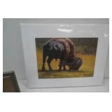 Buffalo Art Print, Vintage Picture Frames, Antique Photos