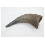 Vintage Buffalo/Bison Horn