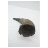Vintage Buffalo/Bison Horn