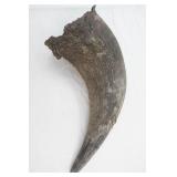 Vintage Buffalo/Bison Horn