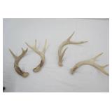 Antlers