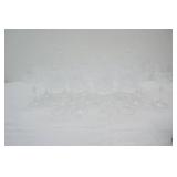 Vintage Crystal Stemware. Cristal d