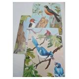 Vintage Bird Prints and Other Vintage Decor