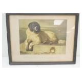 Framed Vintage Print "A Distinguished Member of the Humane Society" by Sir Edwin Henry Landseer 12.5"x10"
