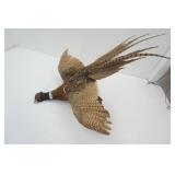 Vintage Pheasant Mount
