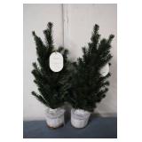 2 THRESHOLD 22in decorative faux tr...