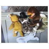 TY 1996 Curly, 2008 Punx Phil, 1996...