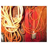 Extension cords in various sizes...