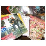 Large collection of vinyl record al...