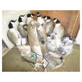 Large lot Canadian Geese Decoys, me...