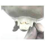 Antique Moritz Zdekauer (MZ Austria) Porcelain Ruffled Edge Pedestal Serving Dish