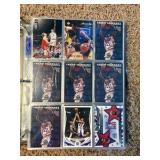 Tracy McGrady Basketball Card Lot NBA Legend