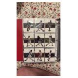 2005 Flair Baseball Card Set, Features Current Stars and All-Time Greats