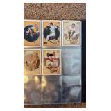 Binder of Baseball All Star and Insert Card From 1990’s