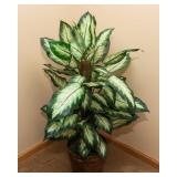Artificial Plant - 36"T