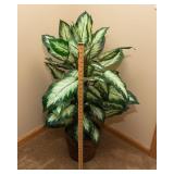 Artificial Plant - 36"T