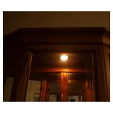 Lighted Curio Cabinet with Mirrored Back