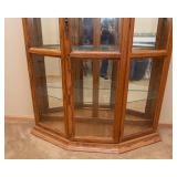 Lighted Curio Cabinet with Mirrored Back