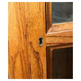 Lighted Curio Cabinet with Mirrored Back