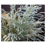 Decorative Vase with Floral Arrangement – 13” Tall Vase