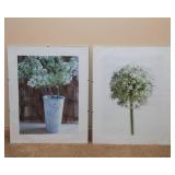 Set of 2 Nature Wall Art – IKEA Prints (15.5” x 20”)