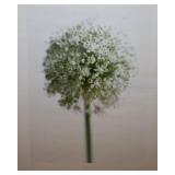 Set of 2 Nature Wall Art – IKEA Prints (15.5” x 20”)