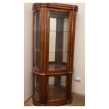 Lighted Curio Cabinet with Mirrored Back