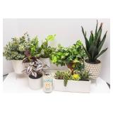 Variety of Artificial Plants