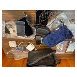 Oppo HA-2 SE headphone amplifier plus various ear buds and bag