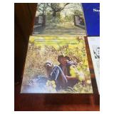 Large Vintage Country, Pop & Greatest Hits Vinyl Record Lot – Donny & Marie, Elvis, Diana Ross & More