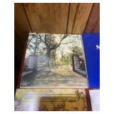 Large Vintage Country, Pop & Greatest Hits Vinyl Record Lot – Donny & Marie, Elvis, Diana Ross & More