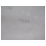 Vintage Mid-Century Modern Serving Set