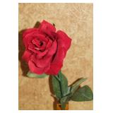 Floral, Amber Bottles & Soap Dispenser