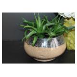 Succulent & Floral Decor