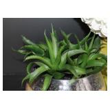 Succulent & Floral Decor