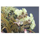 Succulents & Orchid Planters