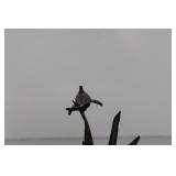 SPI Dolphin Mother & Baby Sculpture