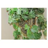 Ivy Plant & Stand