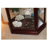 Curio Cabinet