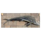 G - Taxidermy Mahi Mahi / Dorado Fish