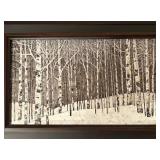 LL - Birch Tree Print - Framed Art