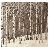 LL - Birch Tree Print - Framed Art