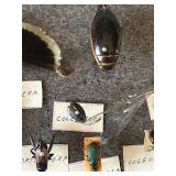 DR - Insect Collection with Orthoptera, Coleoptera, Hemiptera & Seashells & Driftwood