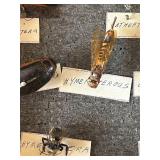 DR - Insect Collection with Orthoptera, Coleoptera, Hemiptera & Seashells & Driftwood