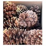 G - Christmas Greens & Lights Assortment with Pine Cones
