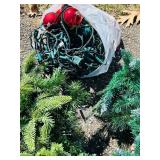 G - Christmas Greens & Lights Assortment with Pine Cones