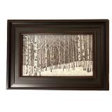 LL - Birch Tree Print - Framed Art