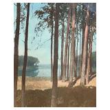 LL - Vintage Forest Landscape Print - Frame