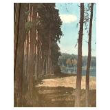 LL - Vintage Forest Landscape Print - Frame