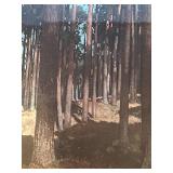 LL - Vintage Forest Landscape Print - Frame